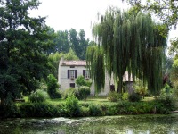 The Canals of the Marais Poitevin