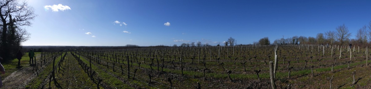 The Fief Vendeen Wine route at Mareuil sur Lay