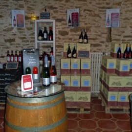 Wine Tasting at Chateau de Rosnay