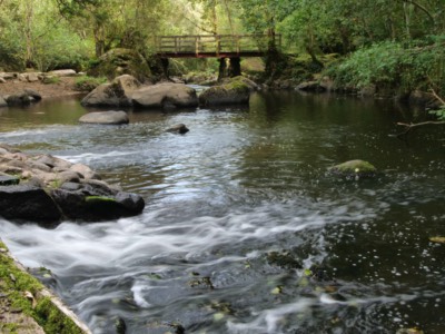 Flowing waters at the Val de Yon