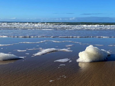The Beach at La Terriere