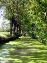 Shaded Canal at the Marais Poitevin