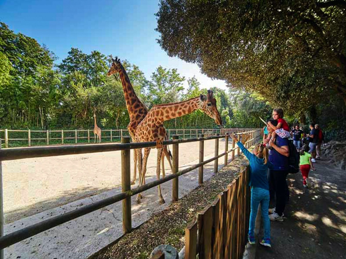 The Zoo at Les Sables d Olonne