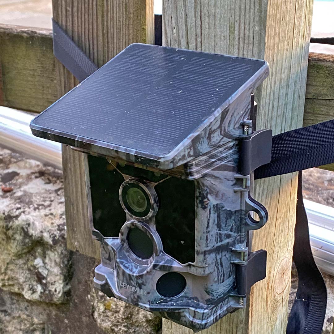 Wildlife camera at Maison Lairoux