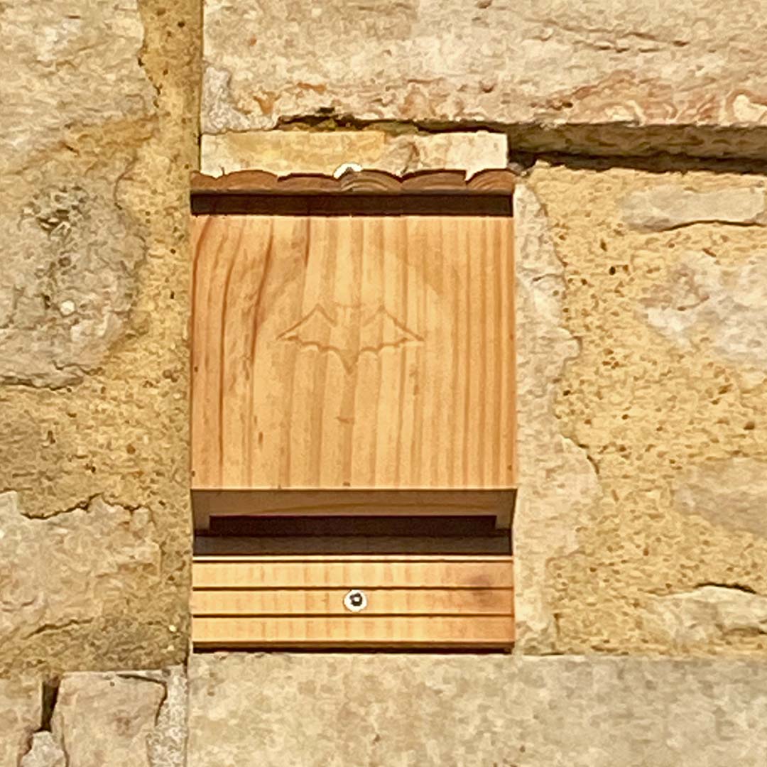 Bat Box at Maison Lairoux